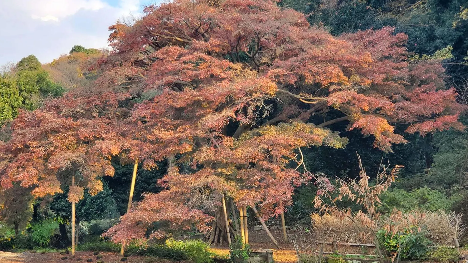 甘糟屋敷 Amakasu Yashiki Kamakuraヴィラ 0*, 鎌倉市 日本